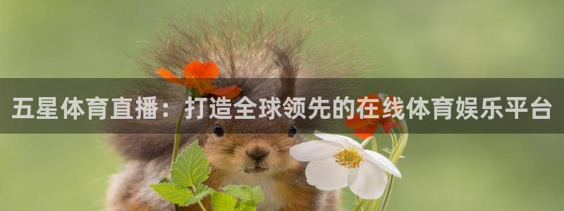 下载咪咕体育直播：五星体育直播：打造全球领先的在线体育娱乐平台