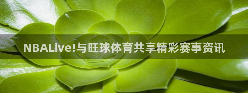 咪咕直播体育在线观看：NBALive!与旺球体育共享精彩赛事资讯