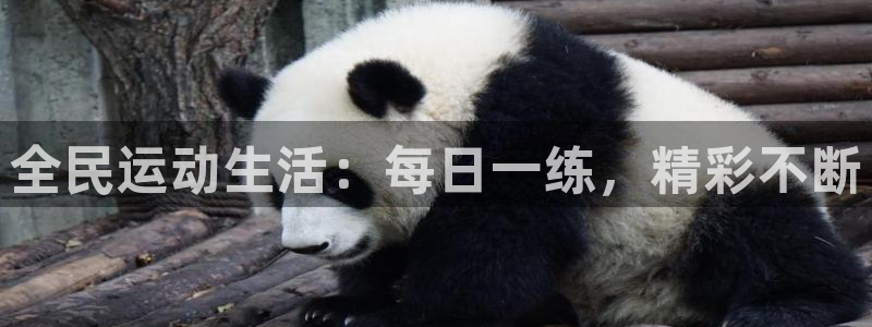 咪咕视频安装包下载：全民运动生活：每日一练，精彩不断