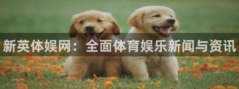 咪咕篮球直播免费观看：新英体娱网：全面体育娱乐新闻与资讯