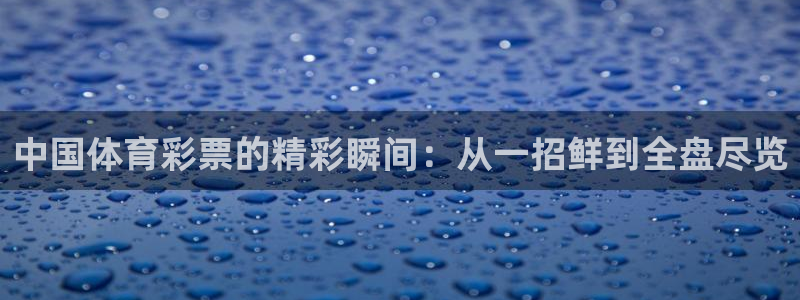 咪咕体育免费高清直播入口：中国体育彩票的精彩瞬间：从一招鲜到全盘尽览