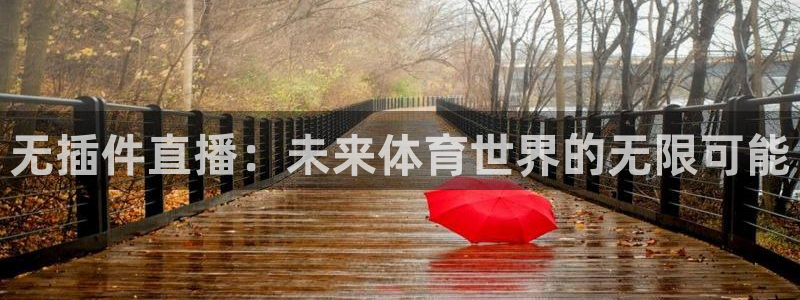 咪咕视频体育直播郑钦文今天：无插件直播：未来体育世界的无限可能