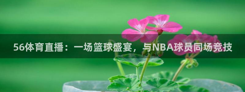 咪咕视频体育：56体育直播：一场篮球盛宴，与NBA球员同场竞技